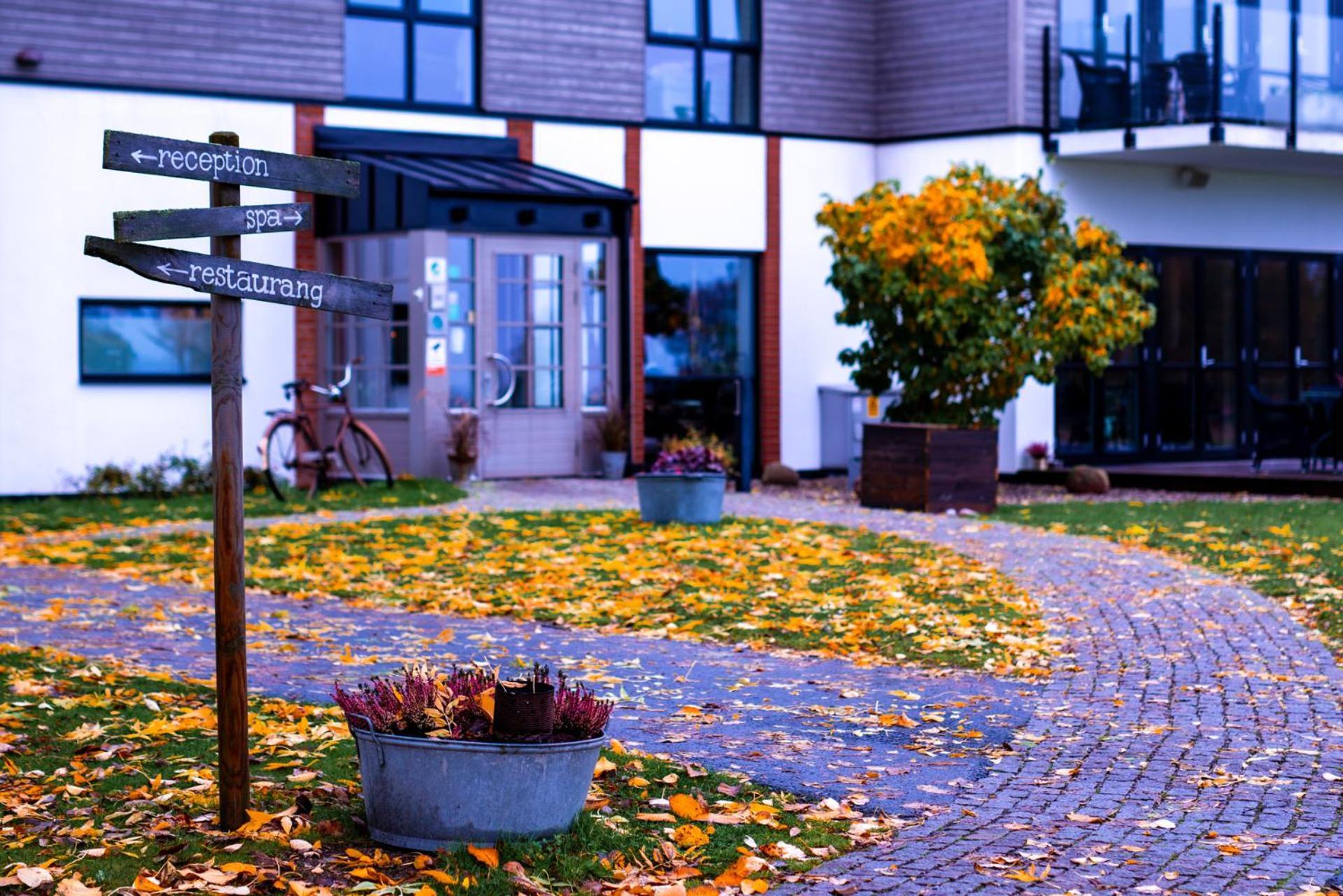 Hotell Mossbylund Abbekås エクステリア 写真